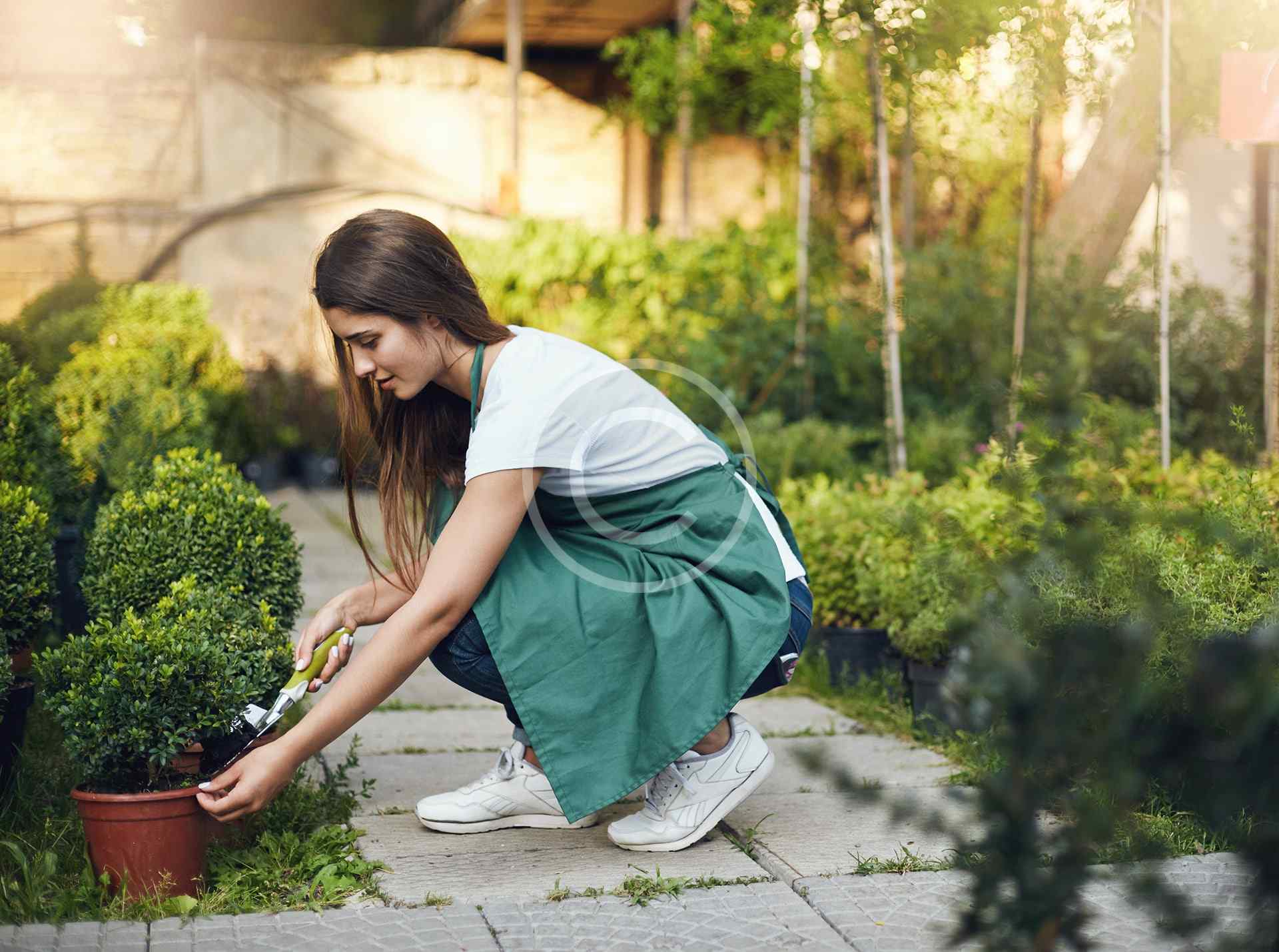 Mulching